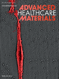 Sousa etal,2017_AdvhealthCareMat_Cover